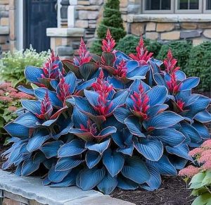 Хоста Грин Фог купить по цене от 669р. в интернет-магазине «Посадика» с доставкой почтой в в Хадыженске и по всей России – [изображение №1].