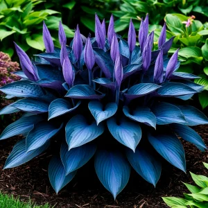 Хоста Сикрет Гров купить по цене от 570р. в интернет-магазине «Посадика» с доставкой почтой в в Хадыженске и по всей России – [изображение №1].